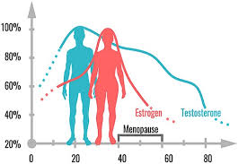 Điều trị rối loạn nội tiết tố cho cả nam và nữ
