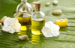 Dầu mù u trị sẹo